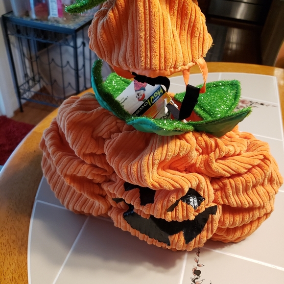 DOG COSTUME PUMPKIN - Picture 2 of 12